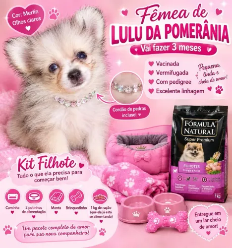 Lindos príncipes e princes disponível 