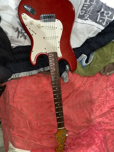 Guitarra Shelter