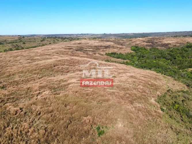 Fazenda 28.10 Alqueires (136,02 hectares) Campo Alegre de Goiás - GO