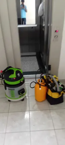 Higienização profissional de sofás e colchões