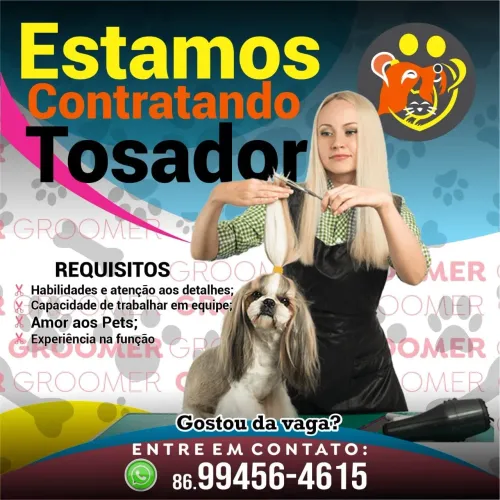 Vaga de emprego para profissional de banho e tosa Groomer