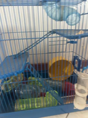 Gaiola de Hamister 
