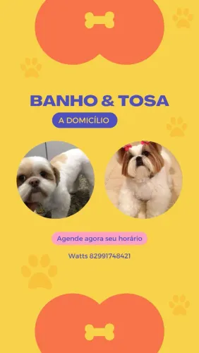 Banho e tosa a domicílio 