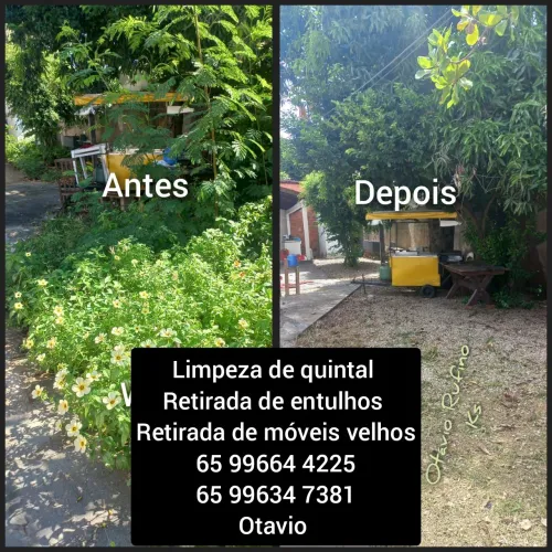 Limpeza de quintal 