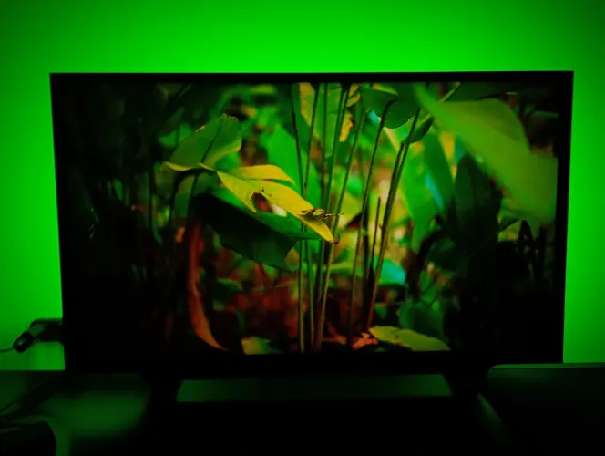 Tv Sony 32 FHD com led traseiro