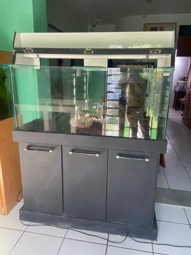Vende-se aquários