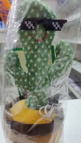 Cactus Dançante