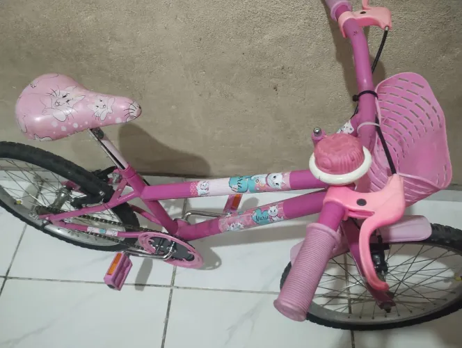 Bicicleta conservada