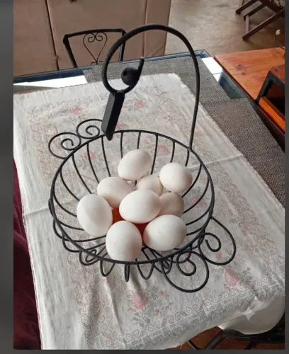 Porta ovos e frutas artístico