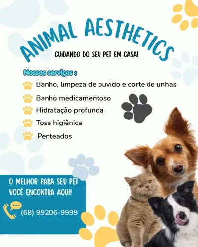 BANHANDO SEU PET! 