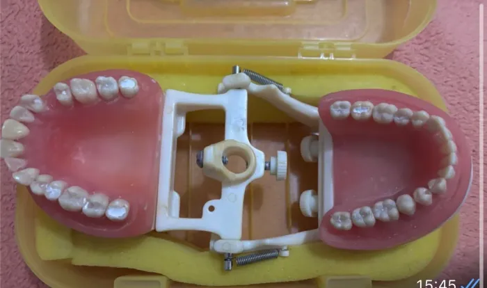 Manequim Pronew Dentistica Odontologia