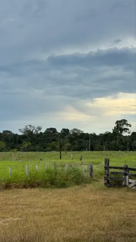 Fazenda em Rorainópolis/Nova Colina