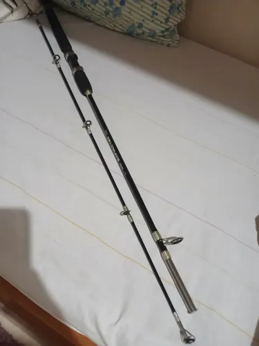Molinete e vara de pesca
