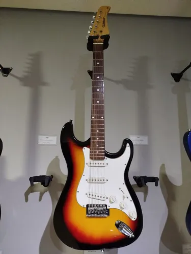 Guitarra Waldman Stratocaster