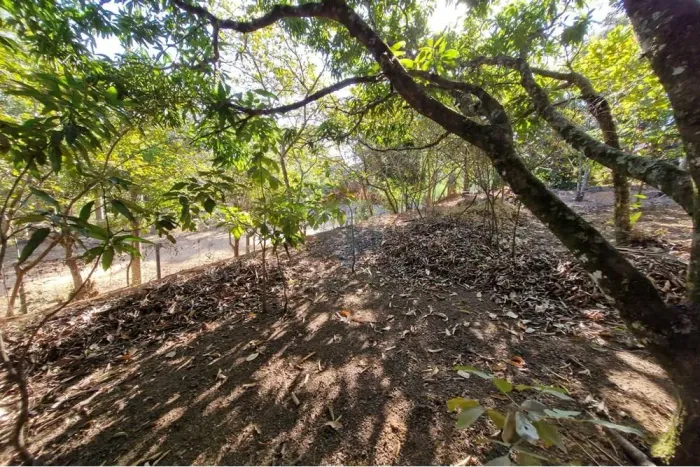 Terreno a venda no Chácaras de Recreio Floresta em Jaguariúna SP por R$ 212.000,00