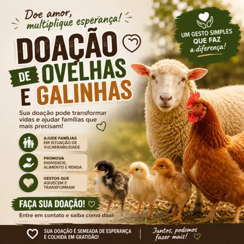 DOA-se Ovelhas e Galinhas