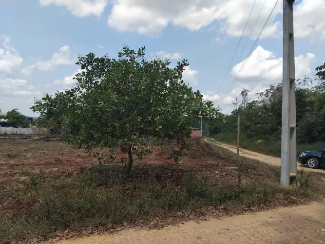 Lote de terra