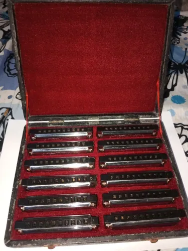 Conjunto 12 gaitas Diatônicas 10 Orifícios 20 Vozes Marca: SX BLUES