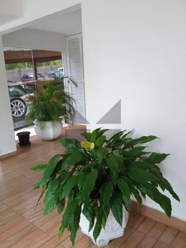 Apartamento à venda no Jardim Umarizal, São Paulo, com 52m², 2 dormitórios e 1 banheiro. R