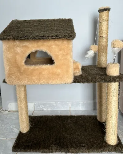 Casa arranhador para gato