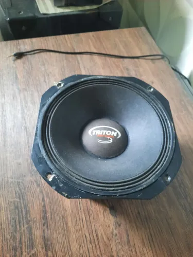 Médio grave 10 polegadas 400 RMS