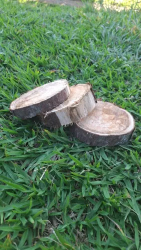 Vendo bolacha de madeira . (Cedro) R$15,00 