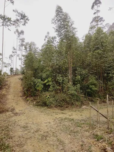 Chácara 1.000m² no Pouso Altinho | Escritura | Aceita Carro/Moto