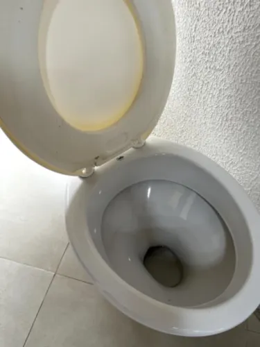 Vaso sanitário