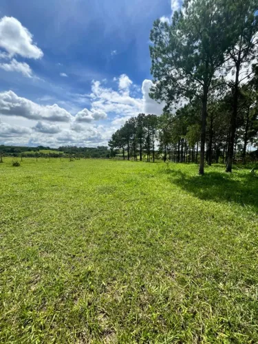 Vende-se Terreno Rural - 9.000 m² - Limeira/SP (Bairro do Porto)