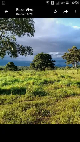 fazenda 150 hectares  jangada
