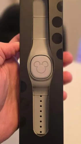 Magic Band Disney