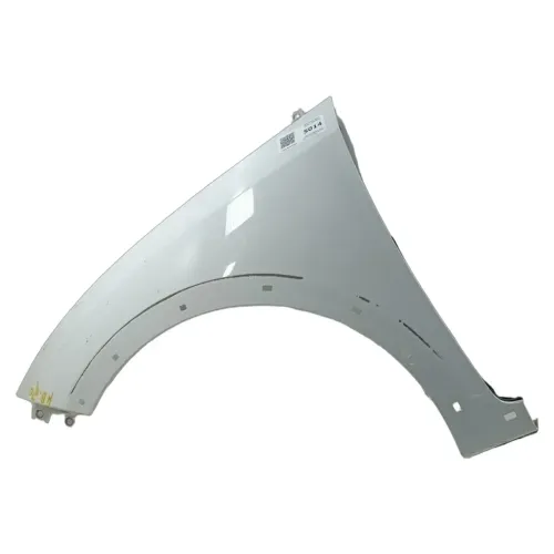 Paralama Esquerdo Hyundai HB20 2012-2019