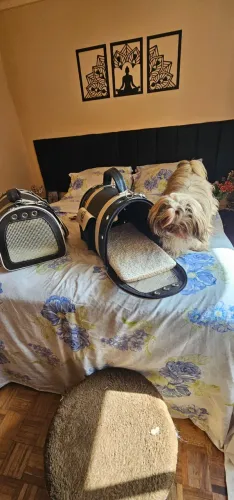 Bolsa de Transporte Pet