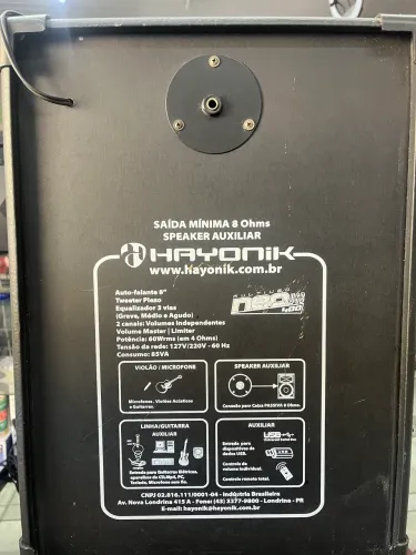 Caixa amplificador profissional HAYONIK
