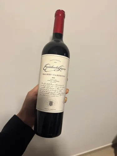 Escorihuela Gascón Malbec | Argentino Original 