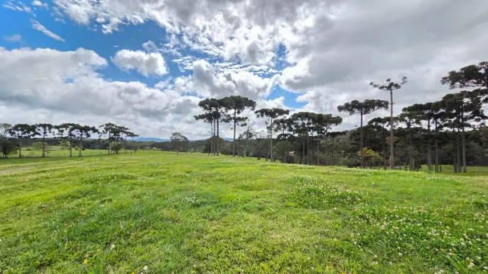 TERRENO RESIDENCIAL em CAMPO ALEGRE - SC, Faxinal
