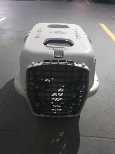 Caixa de Transporte Plast Pet Cargo 5 - Nova / Pronta Entrega