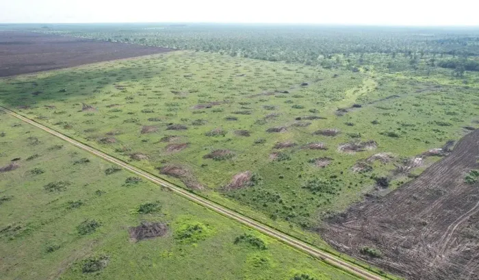 Fazenda com 1.016he com 900he formados, plana, Ribeirão Cascalheira - MT