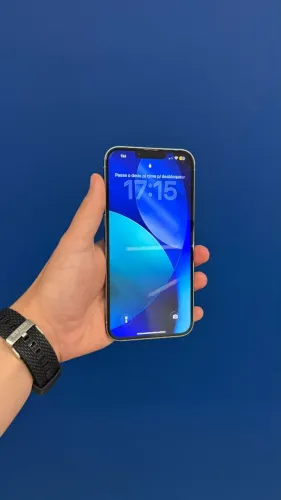 Iphone 13 Pro Max 256gb