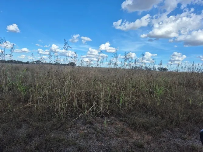 Alugo terra para plantio