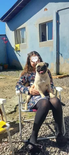 Pug fêmea