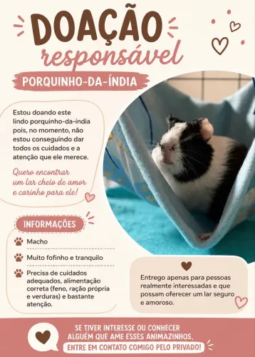 Adoção responsável