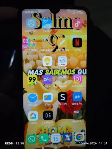 Celular redimi note 9