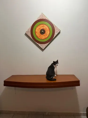 Prateleira de Madeira Resistente e Elegante em Design Ovalado