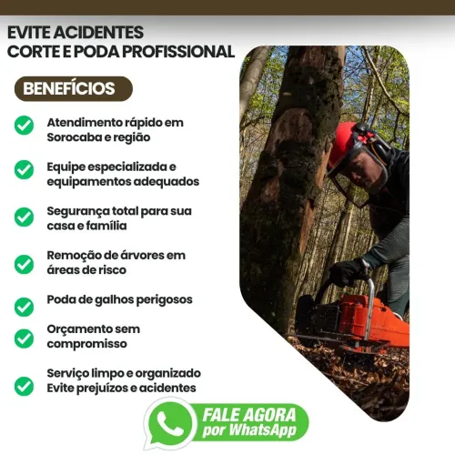 Corte e Poda de Árvores