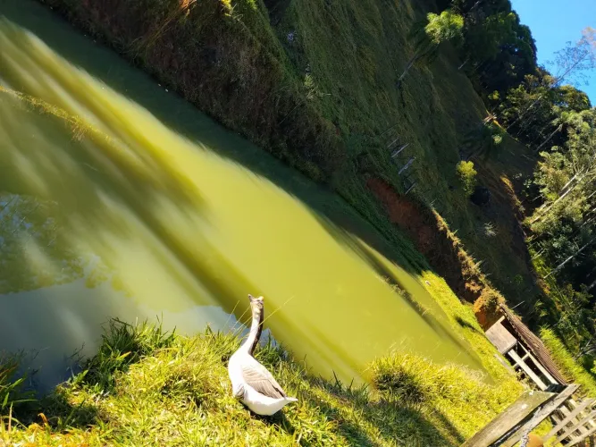 ÓTIMA OPORTUNIDADE A VENDA!!!