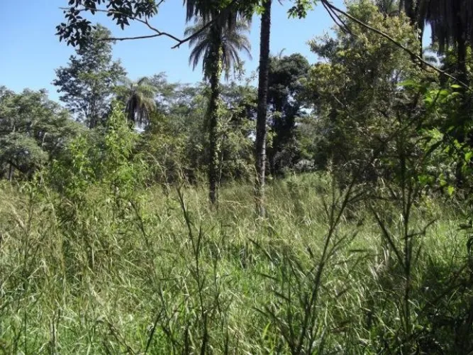 Fazendinha de 20.000m² com rios nos fundos, Jaboticatubas(Temos varias opções)