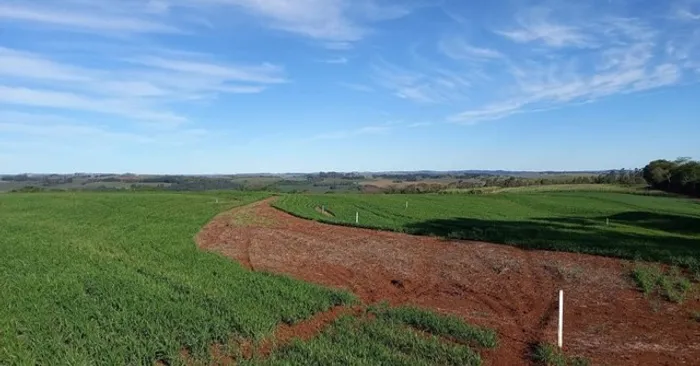 Chacara Lotes com 20.000m2 Sarandi-Pr, R$ 900.000,00