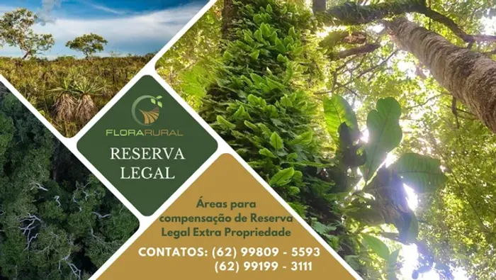Áreas de Reserva Legal para Compensação e Regularização Ambiental