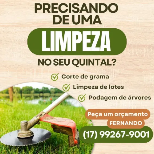 Jardinagem,podas e retirada de entulho